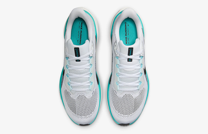 Nike Pegasus 41 White Dusty Cactus FD2722 103 up